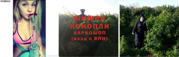Альфа ПВП Гусь-Хрустальный