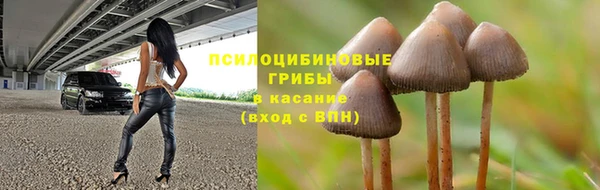 Альфа ПВП Гусь-Хрустальный