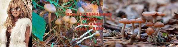 дурь Гусиноозёрск